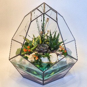 Ocean Mystery Florarium with delivery Saint Petersburg