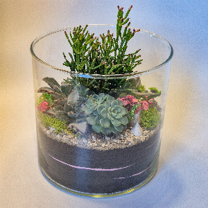Crimson Sunset Florarium with delivery Saint Petersburg