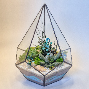 Sky Azure Florarium with delivery Saint Petersburg