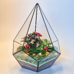 Emerald Drop Florarium with delivery Saint Petersburg