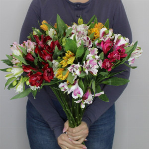Rainbow Carnival Alstroemeria Bouquet with delivery Barnaul