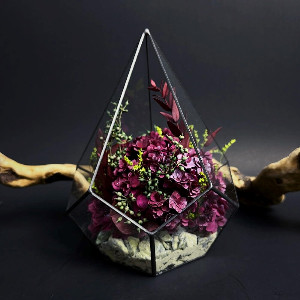 Pomegranate Cloud Hydrangea Terrarium with delivery Moscow