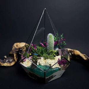 Glowing Waterfall Miniature Succulent Terrarium with delivery Moscow