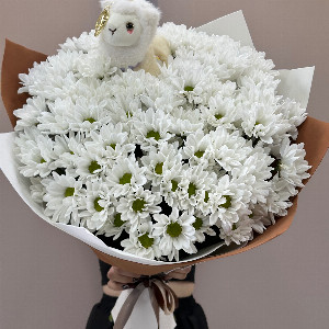 Lovely Llama Bouquet with Chrysanthemums with delivery Belgorod
