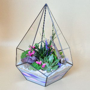 Geometric Terrarium "Secret Dream" with Succulents with delivery Saint Petersburg