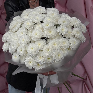 Snow Symphony Chrysanthemum Bouquet with delivery Brest