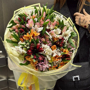 Extravaganza of Feelings Alstroemeria Bouquet with delivery Minsk