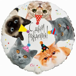Шар "Мурчащий праздник"