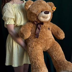 Toy "Honey evening" with delivery Perm
