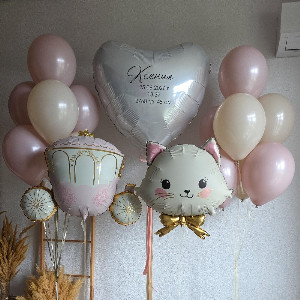 Princess Fairytale Baby Arrival Balloon Set with delivery Omsk