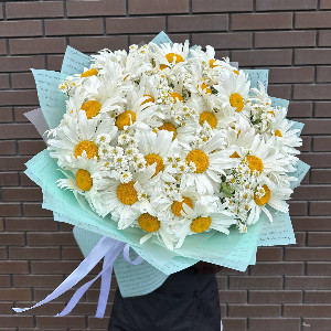 Bouquet "White Dreams" of Daisies with delivery Belgorod