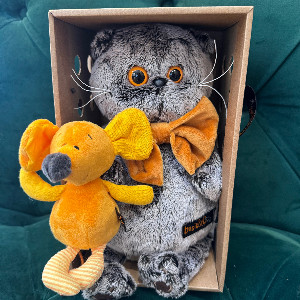 Plush Toy "Faithful Friend" with delivery Penza