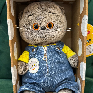 Plush Toy "Sunny Day" with delivery Penza