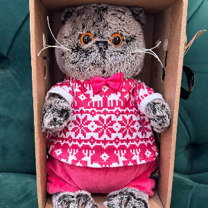 Plush Toy "Winter Comfort" with delivery Penza