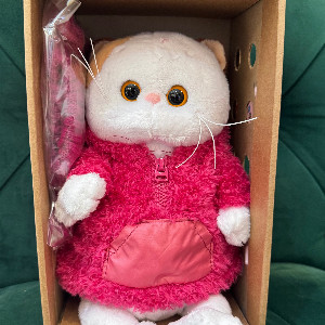 Plush Toy "Pink Warmth" with delivery Penza