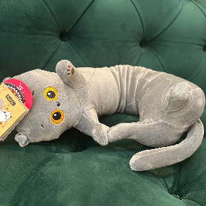 Travel Plush "Basik Cat" with delivery Penza
