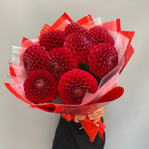 Scarlet Sunset Dahlia Bouquet with delivery Belgorod