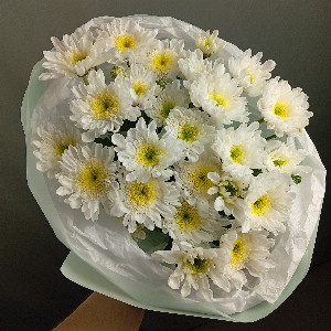Daisy Light Bouquet with Spray Chrysanthemums with delivery Chelyabinsk