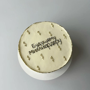 Bento Cake "Future Billionaire" with delivery Krasnoyarsk