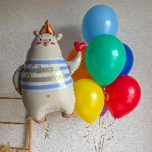 Matroskin Balloon Set with a Cheerful Bear with delivery Saint Petersburg