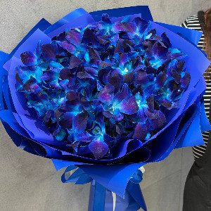 Orchid Bouquet "Blue Sapphire" with delivery Belgorod