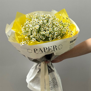 "Daisy Morning" Flower Bouquet with delivery Rostov-on-Don