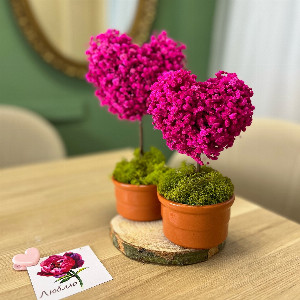 "Two Hearts" Gypsophila Arrangement with delivery Nizhniy-Novgorod