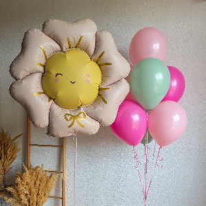 Balloon Set "Sunny Meadow" with delivery Omsk