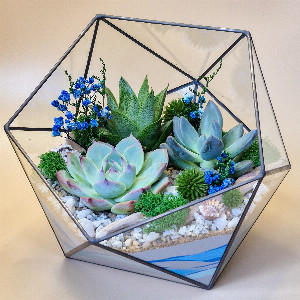 Terrarium "Blue Sea" with delivery Saint Petersburg