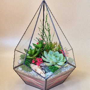 Terrarium "Vivid Summer Colours" with delivery Saint Petersburg