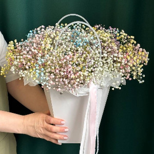 Arrangement "Rainbow in a Bag" with delivery Perm