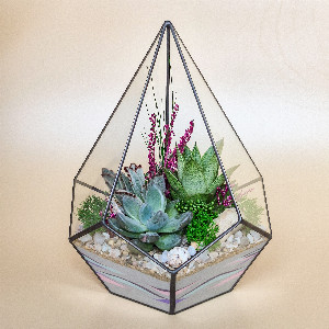 "Raspberry Summer" Terrarium with delivery Saint Petersburg