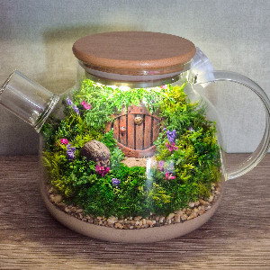 "Forest Hedgehog" Moss Terrarium with delivery Saint Petersburg