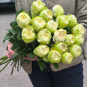 "Lime Dawn" Rose Bouquet with delivery Barnaul