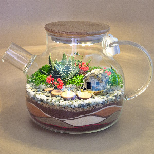 "Little World" Terrarium with delivery Saint Petersburg