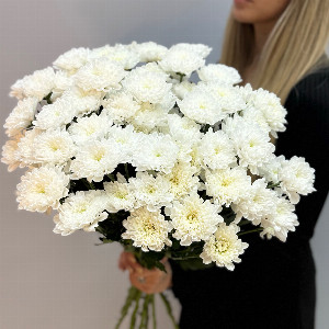 "White Starlight" Bouquet with delivery Penza