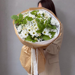 "Daisy Moment" Bouquet with delivery Moscow