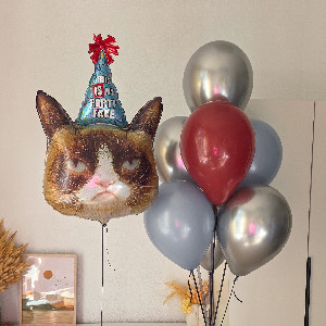 "Cat Party" Balloon Set with delivery Saint Petersburg