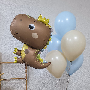 "Dino Boom" Balloon Set with delivery Saint Petersburg