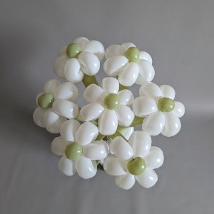 "Daisy Freshness" Balloon Bouquet with delivery Saint Petersburg