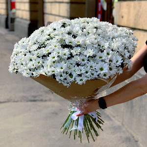 Букет "Белое поле" с хризантемами с доставкой в Санкт-Петербурге
