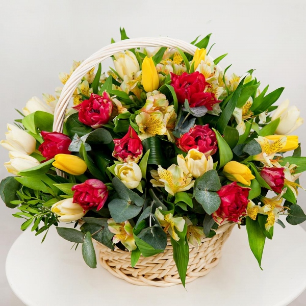 Alstromeria Yellow, Orange - 9, Red tulip - 15, Tulip white - 13, Yellow tulip - 7, Aspidistra (1 pc.), Eucalyptus Cinerea, Pistachio, Large Basket, Oasis, Film