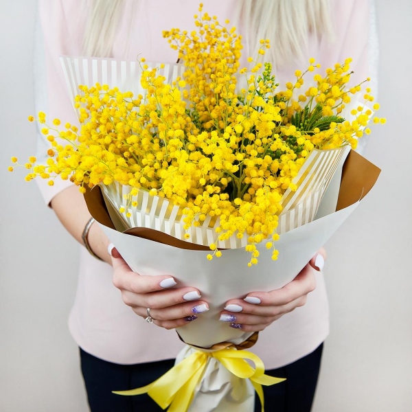 Mimosa - 6, Wrapping Paper, Ribbon