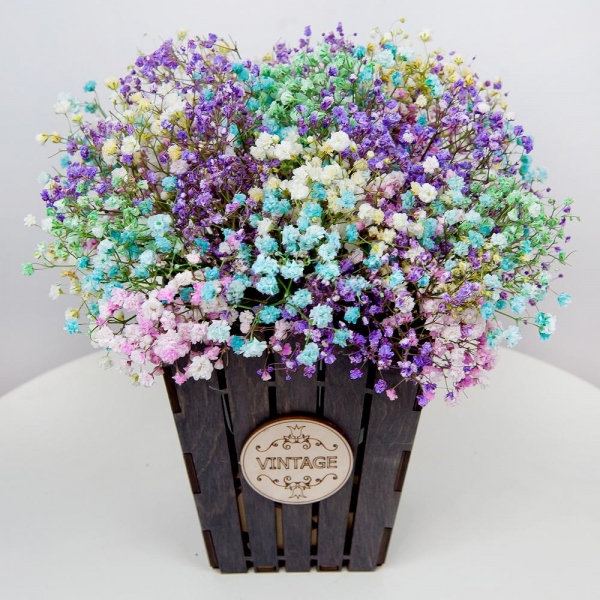Colored gypsophila - 9, Oasis, Film, Wooden pot