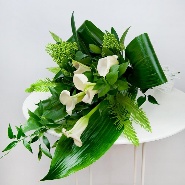 Calla lilies - 7, Skimmia, Ambrella, Aspidistra (1 pc.), Ruscus italian, Ruscus, Ribbon