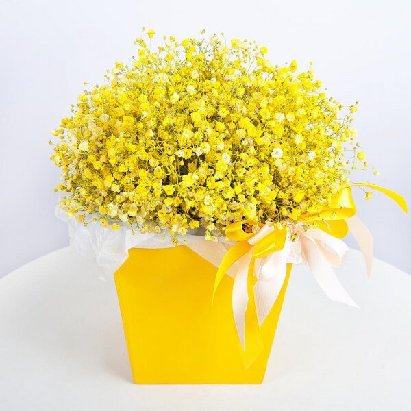 Colored gypsophila - 9, Composition Box, Oasis, Ribbon