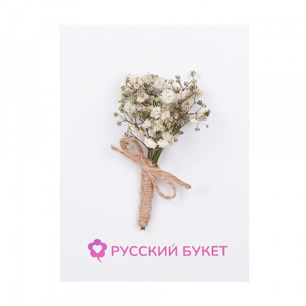 Гипсофила - 0.1, Открытка