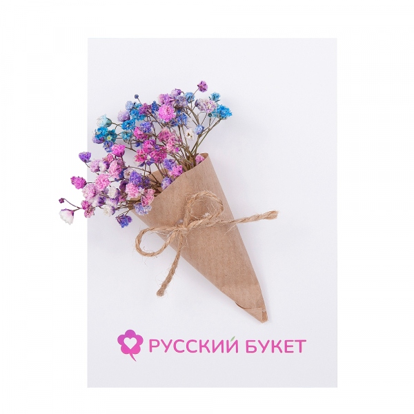 Colored gypsophila - 0.1, Greeting Card