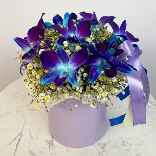 Gypsophila - 6, Orchid Dendrobium - 9, Flask for orchids, Oasis, Round flower box small , Ribbon