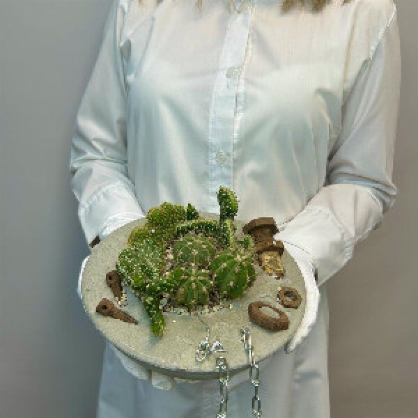 "Echo of the City" composition of cacti in concrete